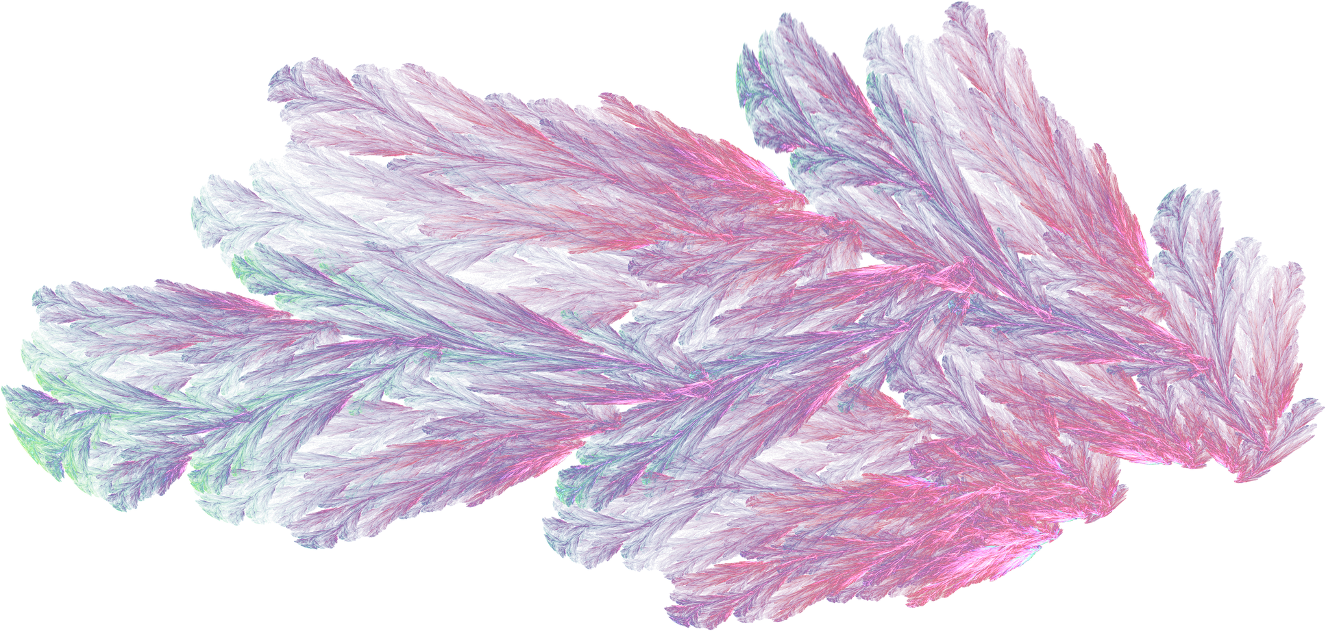Pink Fairy Wing